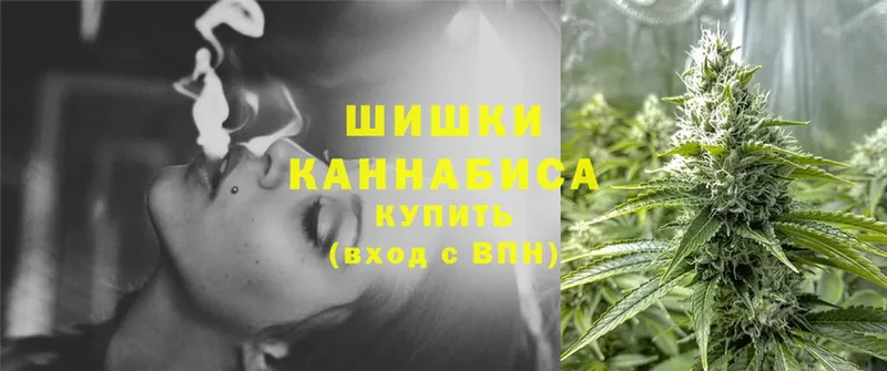 Бошки марихуана OG Kush  купить   Изобильный 